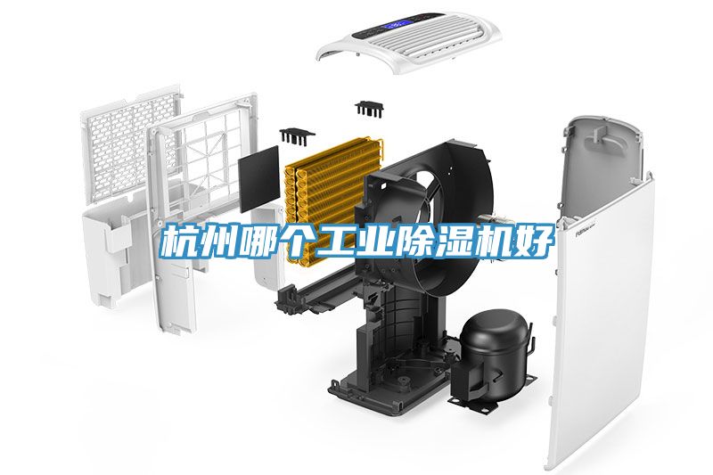 杭州哪個工業91看片网站好