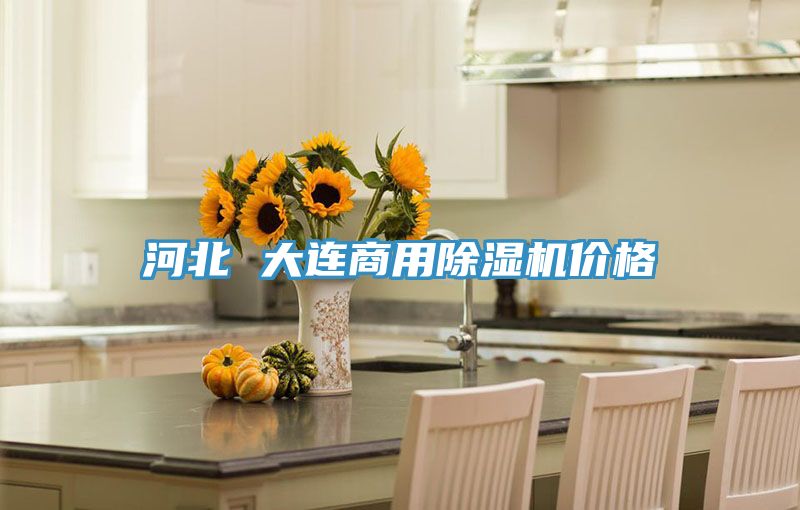 河北 大連商用91看片网站價格