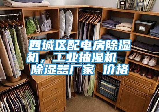 西城區配電房91看片网站，工業抽濕機  除濕器廠家 價格
