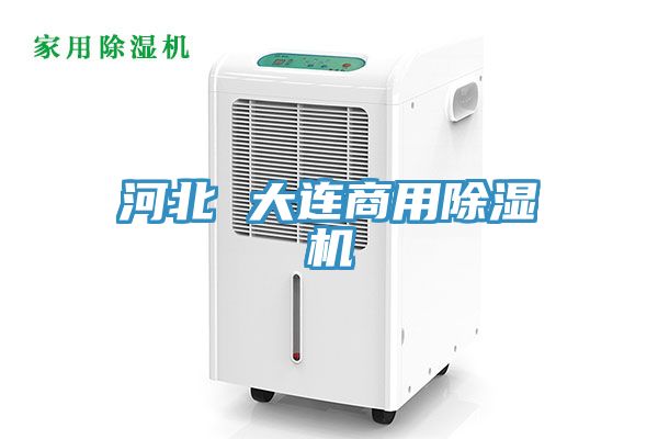 河北 大連商用91看片网站