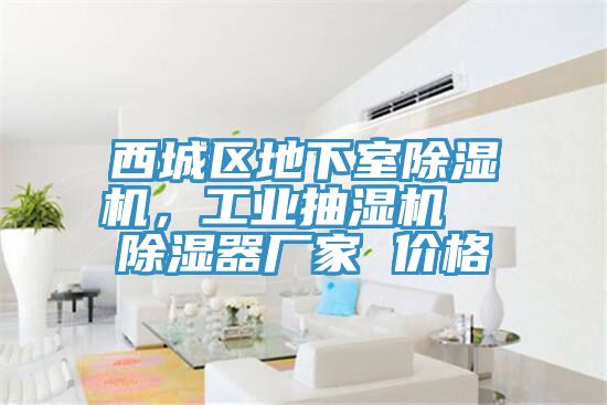 西城區地下室91看片网站，工業抽濕機  除濕器廠家 價格