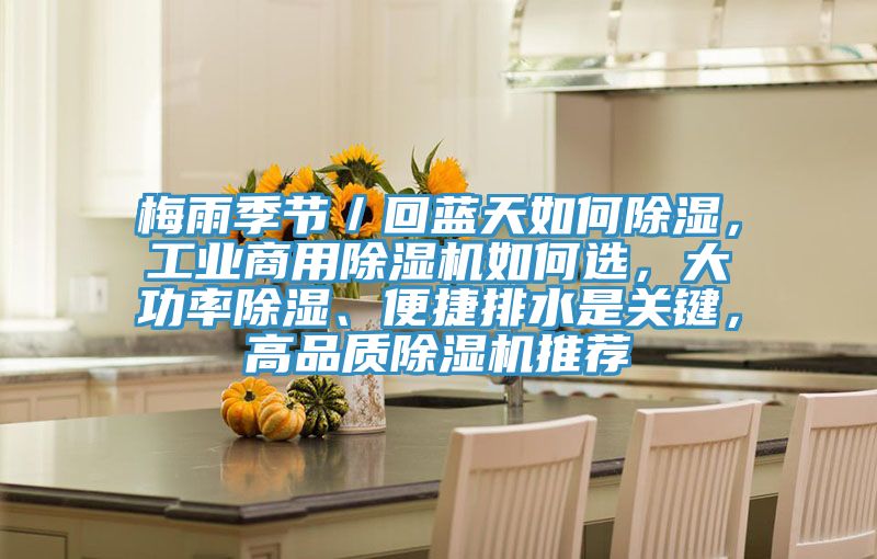 梅雨季節／回藍天如何除濕，工業商用91看片网站如何選，大功率除濕、便捷排水是關鍵，高品質91看片网站推薦