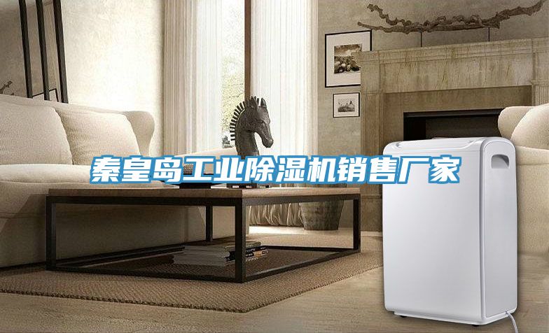 秦皇島工業91看片网站銷售廠家
