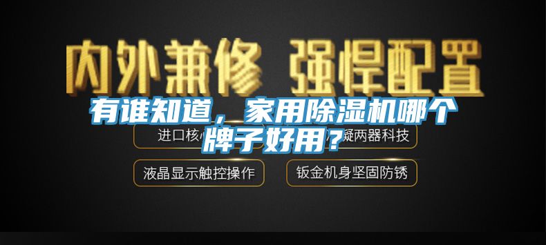 有誰知道，家用91看片网站哪個牌子好用？