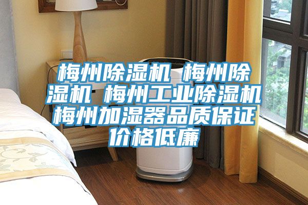 梅州91看片网站☆梅州91看片网站☆梅州工業91看片网站☆梅州加濕器品質保證價格低廉