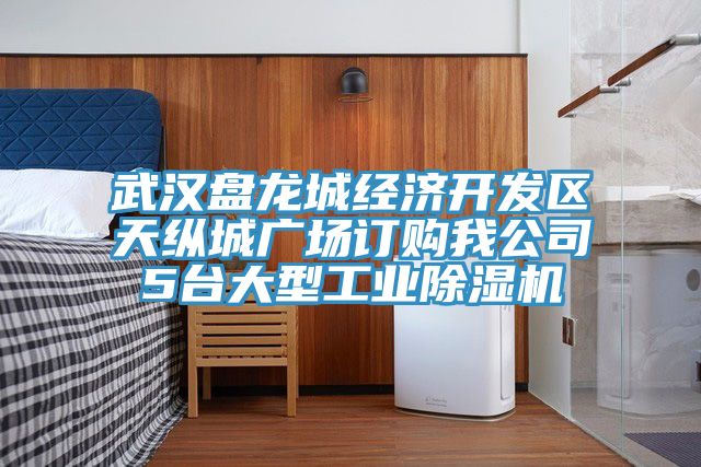 武漢盤龍城經濟開發區天縱城廣場訂購我公司5台大型工業91看片网站