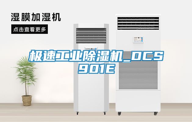 極速工業91看片网站_DCS901E