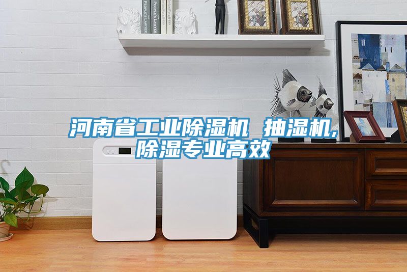 河南省工業91看片网站 抽濕機,除濕專業高效