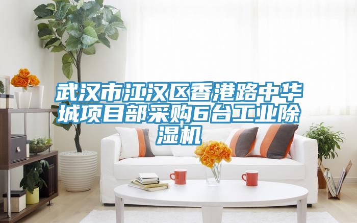 武漢市江漢區香港路中華城項目部采購6台工業91看片网站