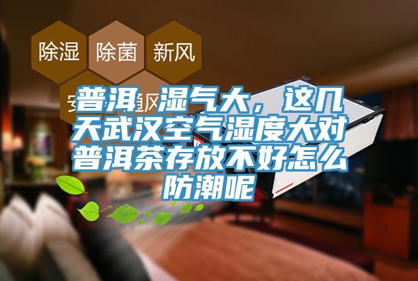 普洱 濕氣大，這幾天武漢空氣濕度大對普洱茶存放不好怎麽防潮呢