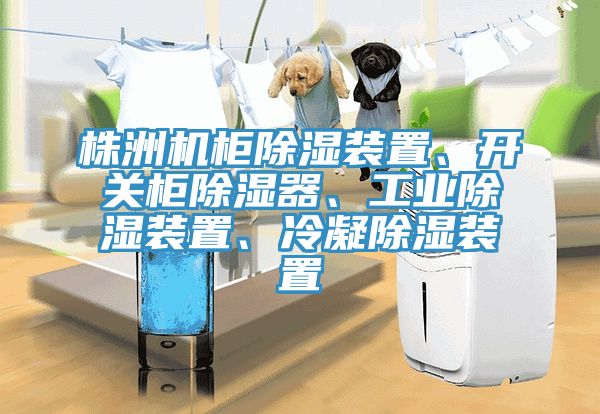 株洲機櫃除濕裝置、開關櫃除濕器、工業除濕裝置、冷凝除濕裝置