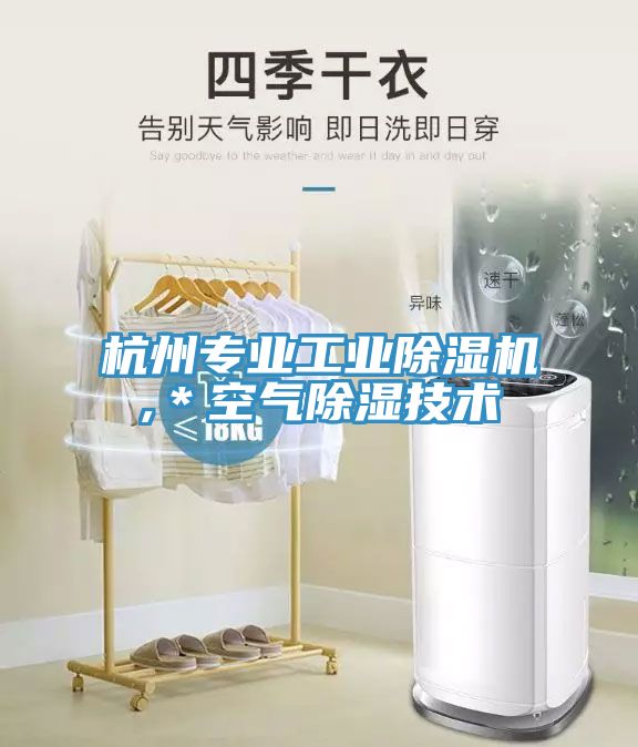杭州專業工業91看片网站,＊空氣除濕技術