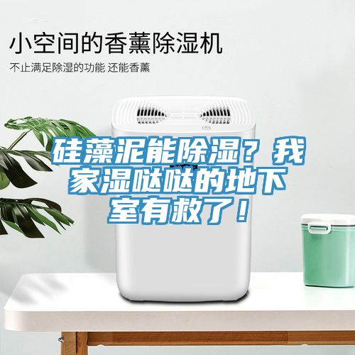 矽藻泥能除濕？我家濕噠噠的地下室有救了！