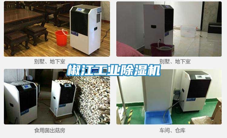 椒江工業91看片网站