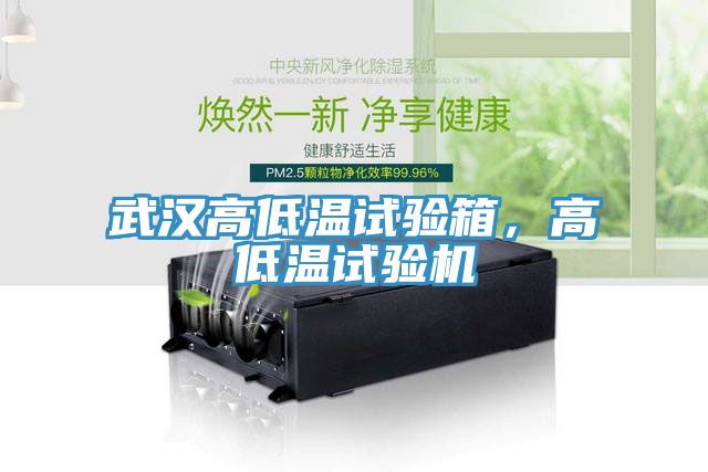 武漢高低溫試驗箱，高低溫試驗機