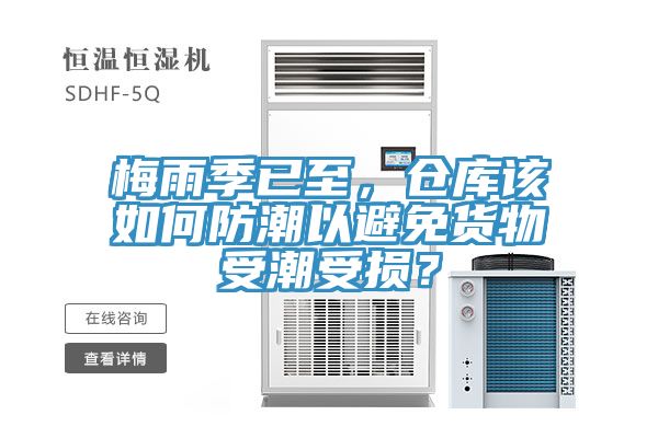 梅雨季已至，倉庫該如何防潮以避免貨物受潮受損？