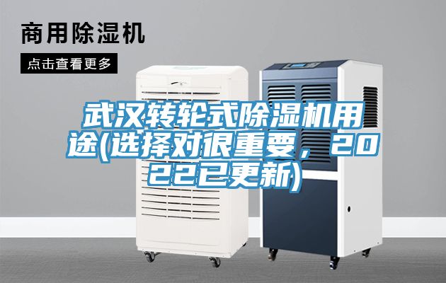 武漢轉輪式91看片网站用途(選擇對很重要，2022已更新)