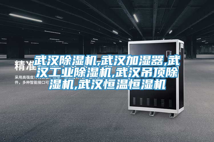 武漢91看片网站,武漢加濕器,武漢工業91看片网站,武漢吊頂91看片网站,武漢恒溫恒濕機