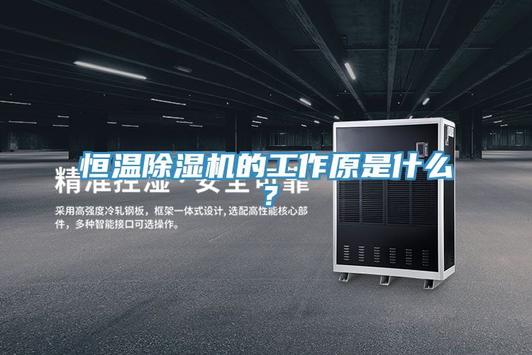 恒溫91看片网站的工作原是什麽？