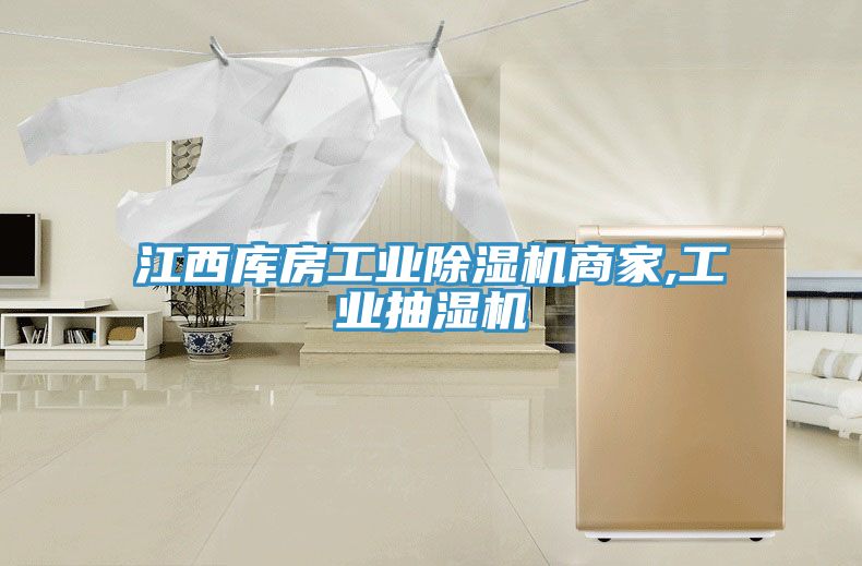 江西庫房工業91看片网站商家,工業抽濕機