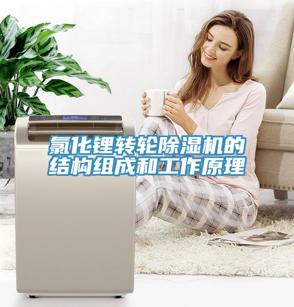氯化鋰轉輪91看片网站的結構組成和工作原理