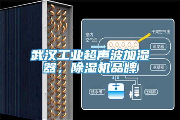 武漢工業超聲波加濕器，91看片网站品牌