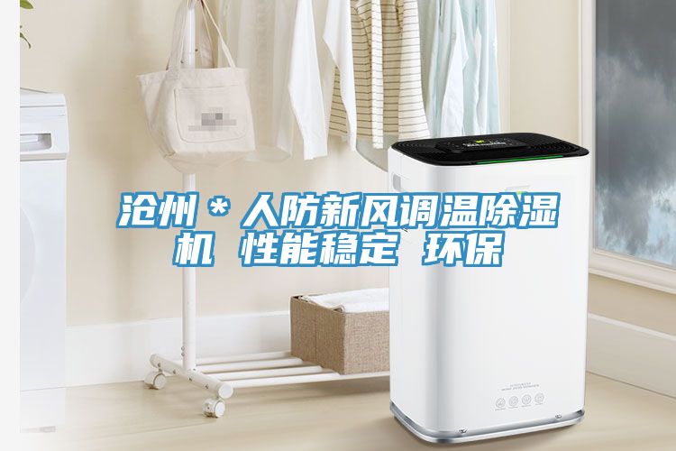 滄州＊人防新風調溫91看片网站 性能穩定 環保
