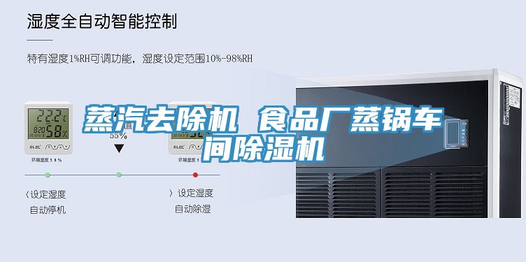 蒸汽去除機 食品廠蒸鍋車間91看片网站