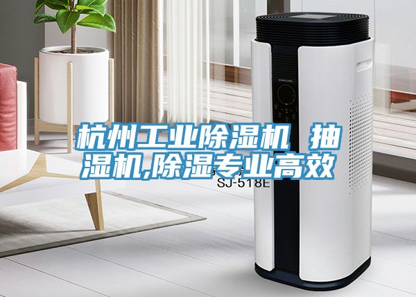 杭州工業91看片网站 抽濕機,除濕專業高效
