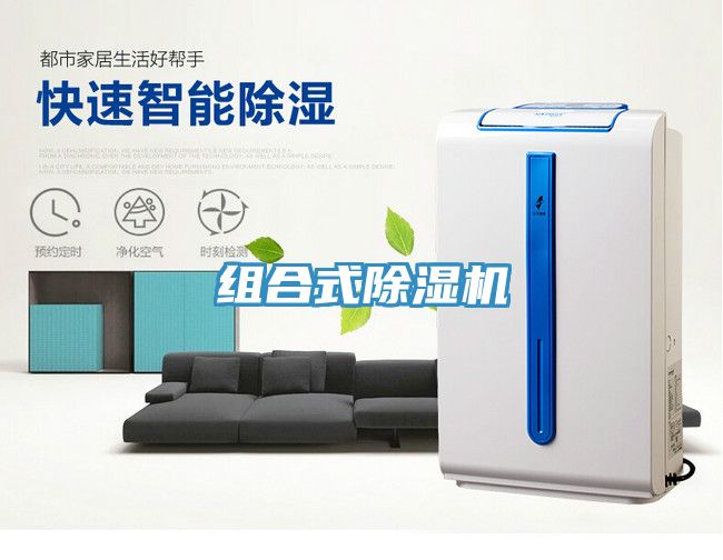 組合式91看片网站