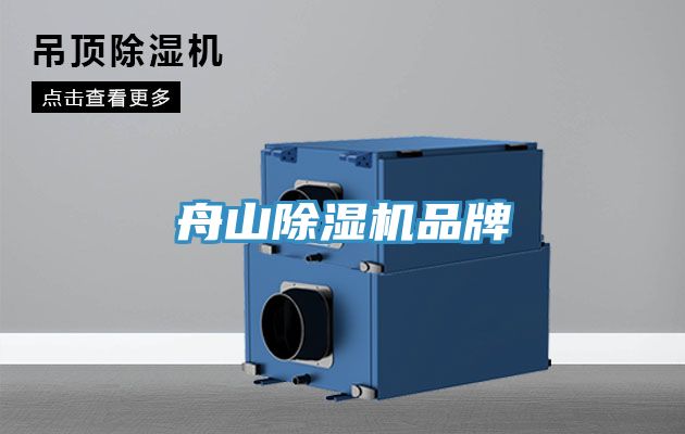 舟山91看片网站品牌