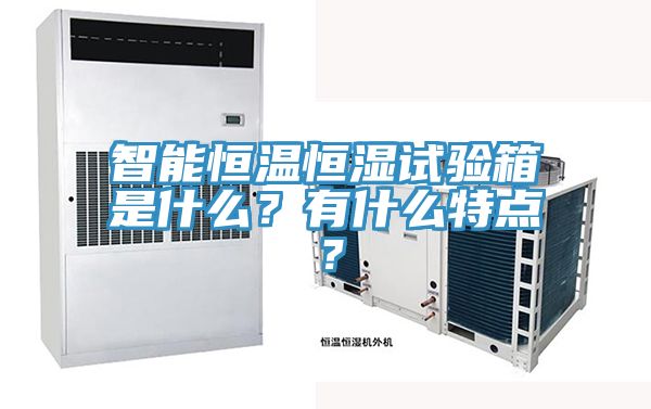智能恒溫恒濕試驗箱是什麽？有什麽特點？