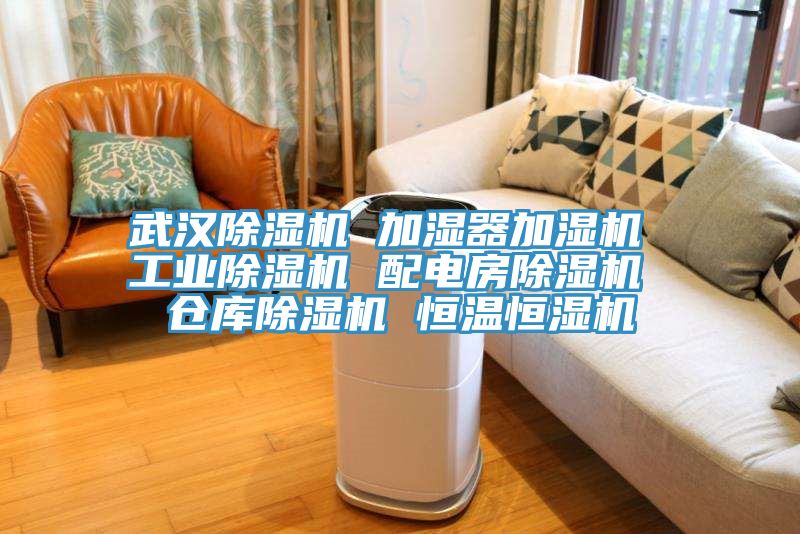 武漢91看片网站 加濕器加濕機 工業91看片网站 配電房91看片网站 倉庫91看片网站 恒溫恒濕機