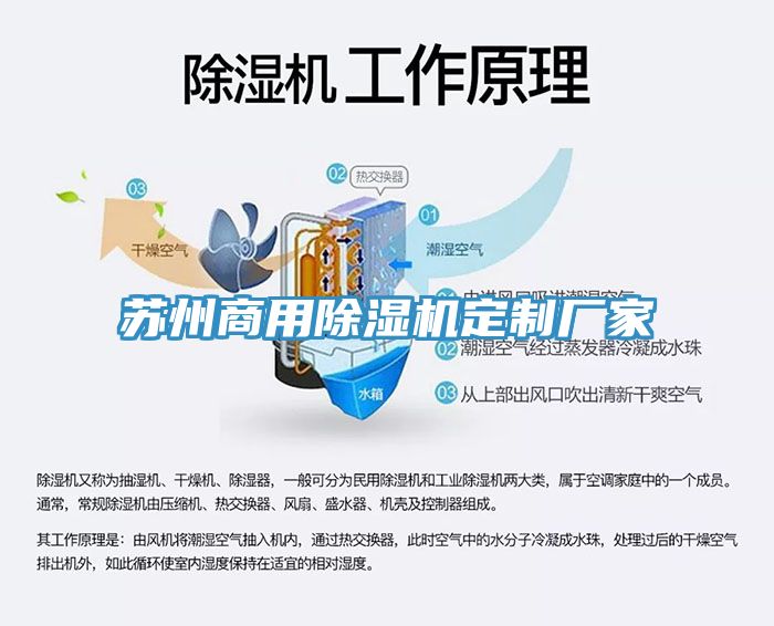 蘇州商用91看片网站定製廠家
