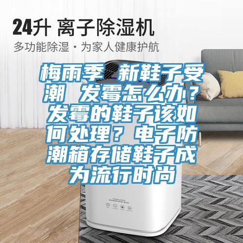 梅雨季 新鞋子受潮 發黴怎麽辦？發黴的鞋子該如何處理？電子防潮箱存儲鞋子成為流行時尚