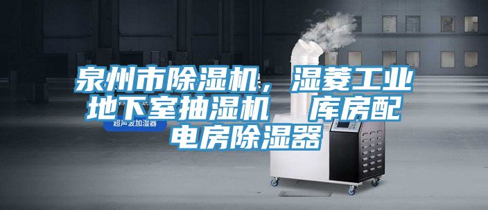 泉州市91看片网站，濕菱工業地下室抽濕機  庫房配電房除濕器
