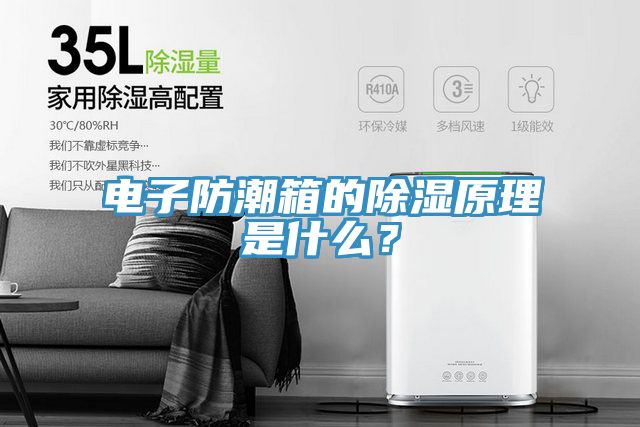 電子防潮箱的除濕原理是什麽？