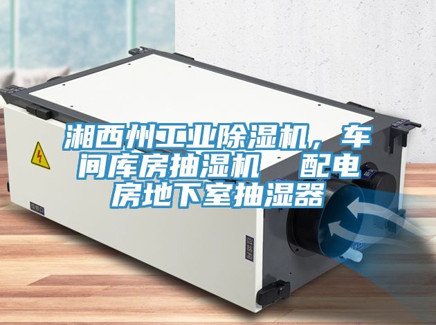湘西州工業91看片网站，車間庫房抽濕機  配電房地下室抽濕器