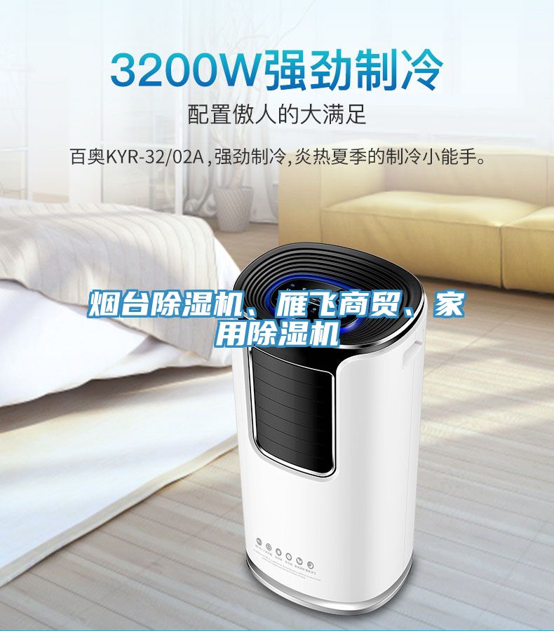 煙台91看片网站、雁飛商貿、家用91看片网站