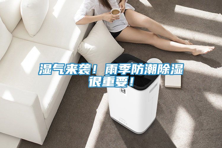 濕氣來襲！雨季防潮除濕很重要！