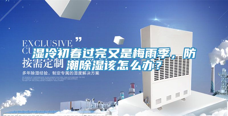 濕冷初春過完又是梅雨季，防潮除濕該怎麽辦？