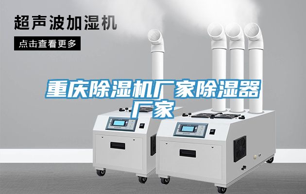 重慶91看片网站廠家除濕器廠家