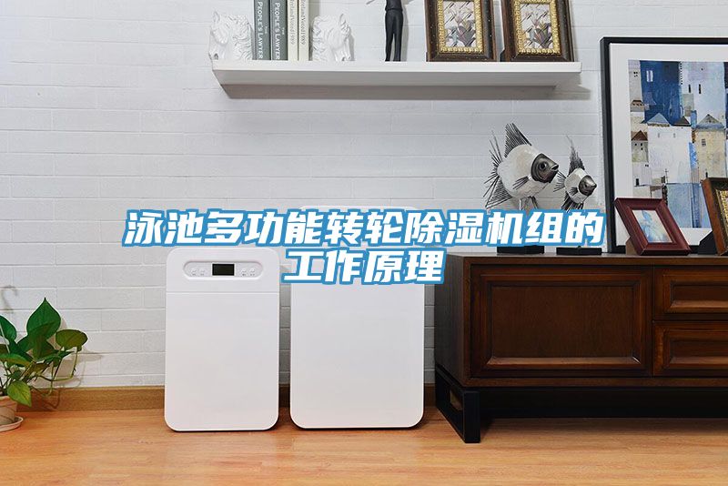 泳池多功能轉輪91看片网站組的工作原理