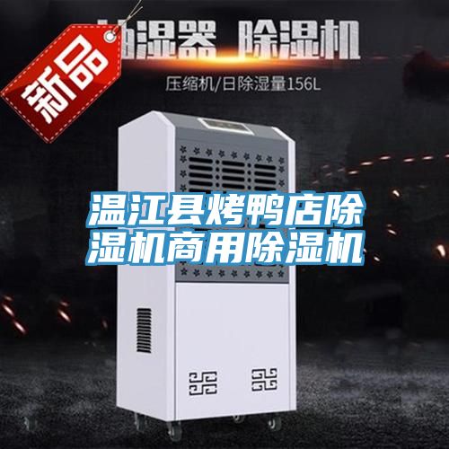 溫江縣烤鴨店91看片网站商用91看片网站