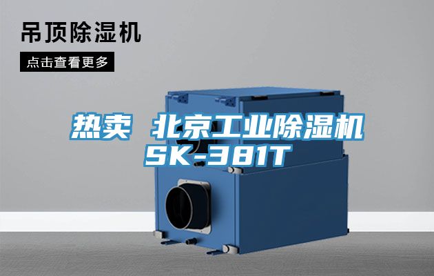 熱賣 北京工業91看片网站SK-381T