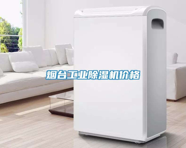 煙台工業91看片网站價格