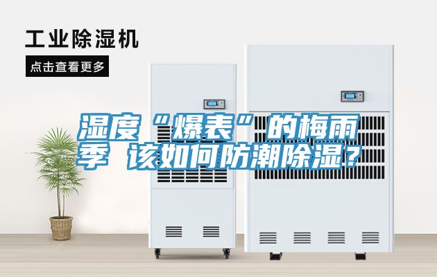 濕度“爆表”的梅雨季 該如何防潮除濕？
