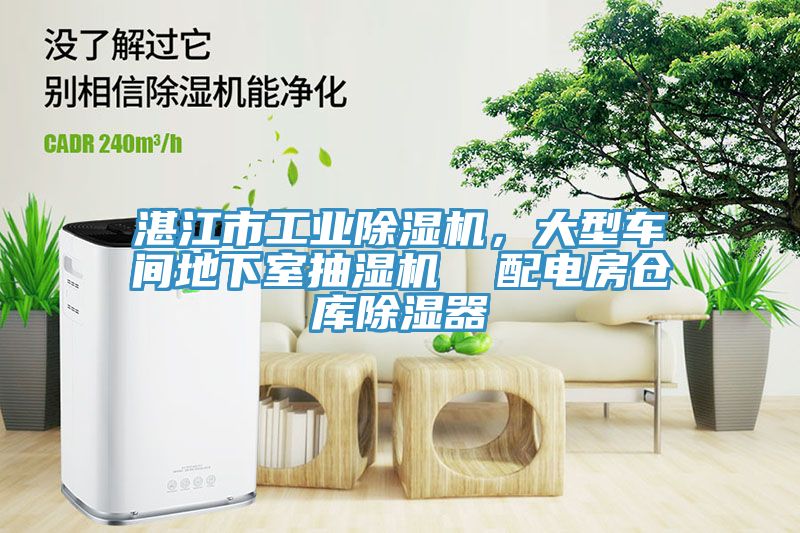 湛江市工業91看片网站，大型車間地下室抽濕機  配電房倉庫除濕器