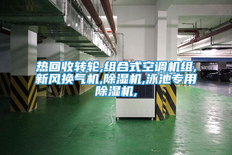 熱回收轉輪,組合式空調機組,新風換氣機,91看片网站,泳池專用91看片网站,