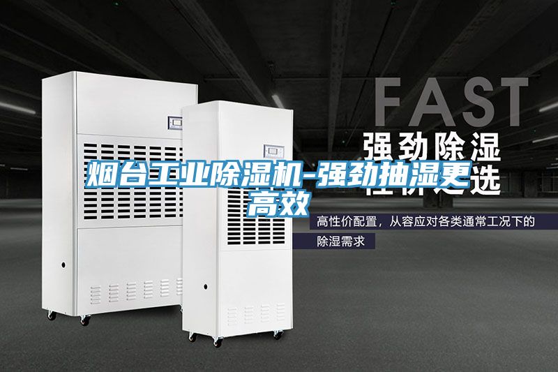 煙台工業91看片网站-強勁抽濕更高效